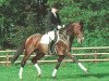 horse Classiker (Holsteiner, 1987, from Calypso II)