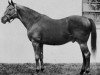 stallion Sun Teddy xx (Thoroughbred, 1933, from Teddy xx)