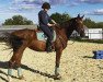 dressage horse Alize im Wunderland (Oldenburg, 2018, from D'Egalite)