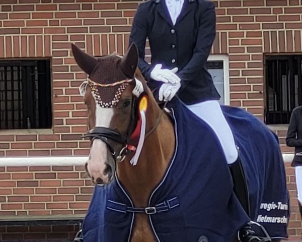 dressage horse Flora WH (Hanoverian, 2018, from Floris Prince)