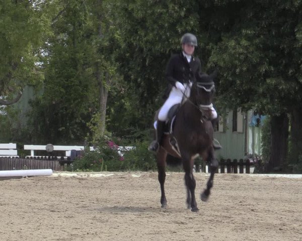 Reitturnier Kottingbrunn 2022