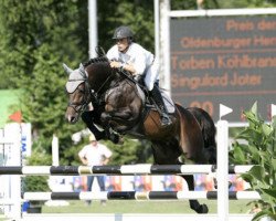 stallion Singulord Joter (Brazilian horse, 2000, from Singular Joter II)