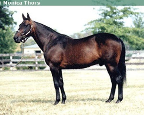 stallion Super Bowl 8540I (US) (American Trotter, 1969, from Star's Pride 80141 (US))
