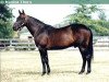 stallion Super Bowl 8540I (US) (American Trotter, 1969, from Star's Pride 80141 (US))
