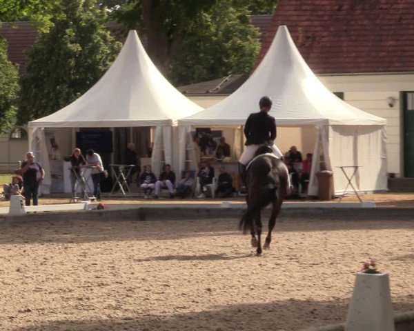 Reitturnier Redefin 2022