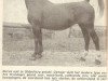 broodmare Illy (KWPN (Royal Dutch Sporthorse), 1947, from Ufried)