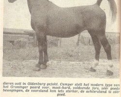 Zuchtstute Illy (KWPN (Niederländisches Warmblut), 1947, von Ufried)