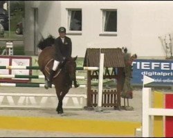 jumper Magic Girl 15 (German Sport Horse, 2005, from Magic Boy)