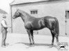 stallion Orby xx (Thoroughbred, 1904, from Orme xx)