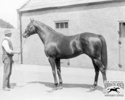 stallion Orby xx (Thoroughbred, 1904, from Orme xx)