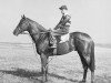 stallion Whistler xx (Thoroughbred, 1950, from Panorama xx)