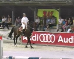 jumper Iwest Clemens (Belgian Warmblood, 1996, from Cash)