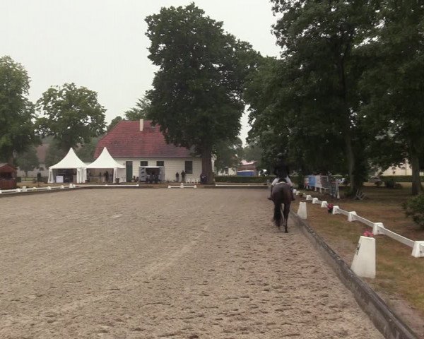 Reitturnier Redefin 2022