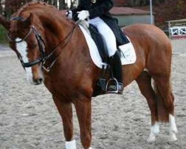 dressage horse Lux-Dressage De Rubin (Oldenburg, 2003, from De Niro)