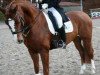 Dressurpferd Lux-Dressage De Rubin (Oldenburger, 2003, von De Niro)