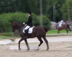 dressage horse Fama 87 (Westphalian, 2000, from Florestan I)