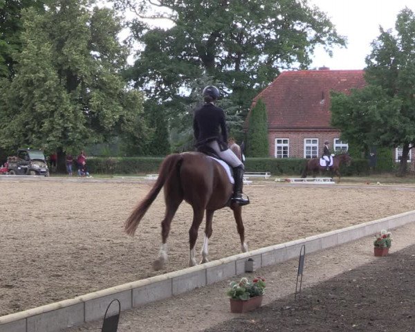 Reitturnier Redefin 2022