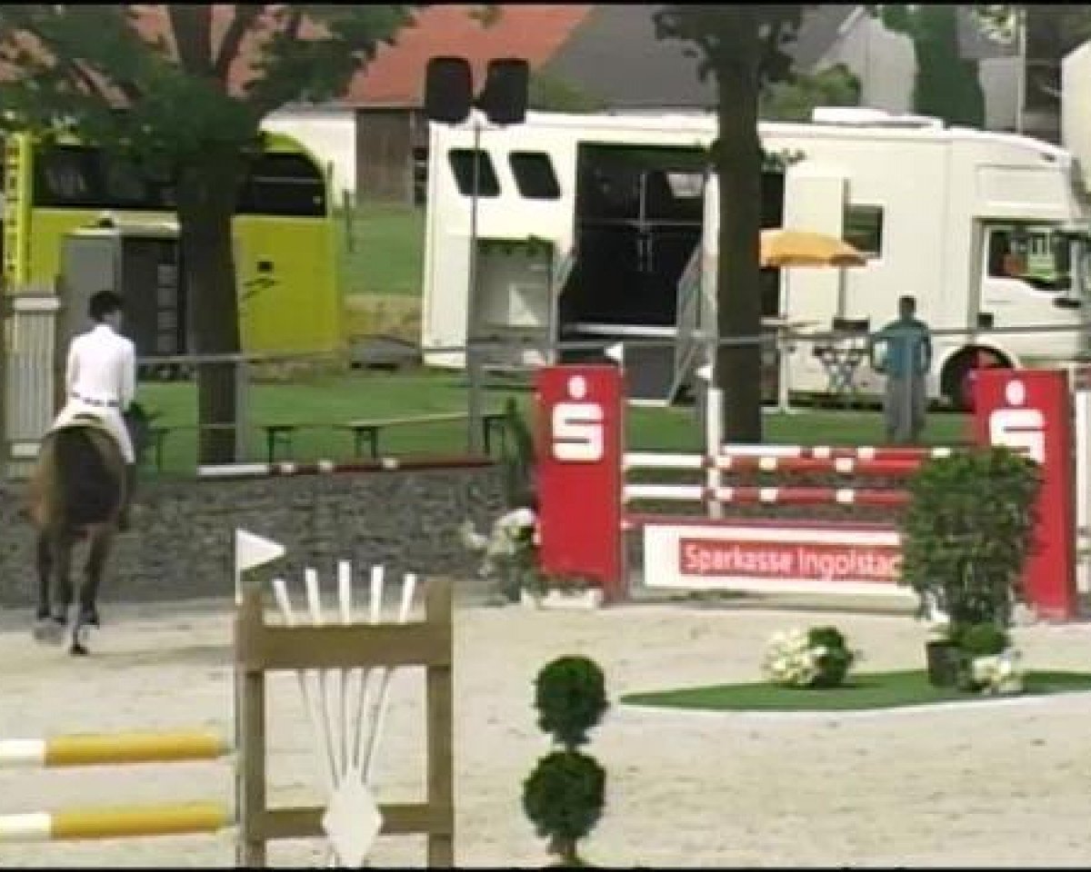 Springpferd Craig (Holsteiner, 1993, von Calando I)