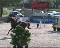 jumper Robin Von Loxley 4 (Oldenburg, 2005, from Rosentanz)