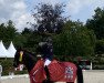 dressage horse Diamond's Rubioso (Oldenburg, 2007, from Diamond Hit)