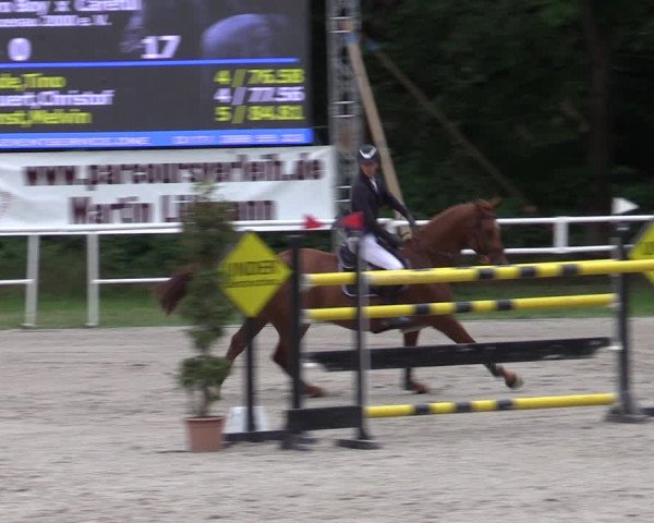 Reitturnier Prussendorf 2022