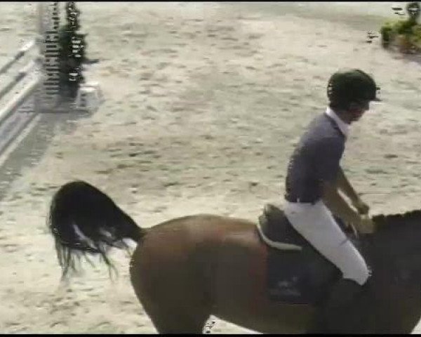 jumper Lord's Champ (Bavarian, 2006, from Lord Z)