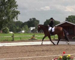 dressage horse Franz Ferdinand B (Westphalian, 2005, from Florestan I)