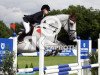 jumper San Fernando 28 (Hanoverian, 2000, from Spartan)