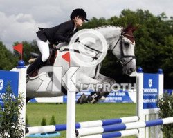 jumper San Fernando 28 (Hanoverian, 2000, from Spartan)