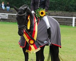 dressage horse Una Donna 8 (Trakehner, 2007, from Donaufels)