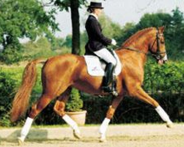 stallion Formidabel (Hanoverian, 2000, from Friedensfürst)