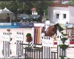 jumper Cesco (Württemberger, 2006, from Candillo Z)