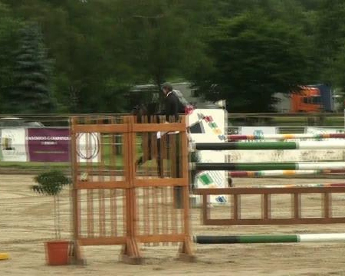 Springpferd Qat Gats du Lozon (Selle Français, 2004, von Elan de la Cour)