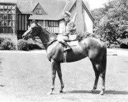 broodmare Caergwrle xx (Thoroughbred, 1965, from Crepello xx)