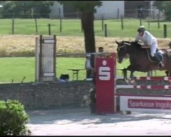 jumper Ruukbert (Hanoverian, 2003, from Raphael)