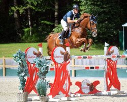 jumper Kjandor van Overis Z (Zangersheide riding horse, 2012, from Kannan)