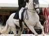 dressage horse Ronaldo II (KWPN (Royal Dutch Sporthorse), 1998, from Gribaldi)