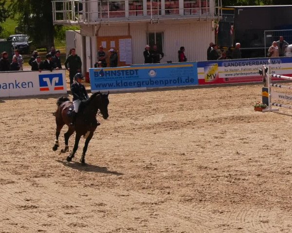 Reitturnier Redefin 2022