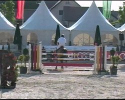 Pferd Egano V'T Pluonia Hof (Belgisches Warmblut, 2004, von Nabab de Rêve)