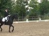 dressage horse Gina (Rhinelander, 1995, from Gaudeamus)