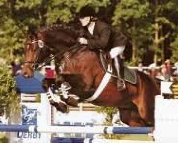 stallion Love and Jump (Oldenburg, 1996, from Levantos I)