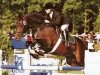 stallion Love and Jump (Oldenburg, 1996, from Levantos I)