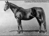 broodmare Galicia xx (Thoroughbred, 1898, from Galopin xx)