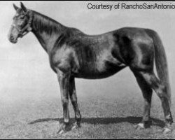 broodmare Galicia xx (Thoroughbred, 1898, from Galopin xx)