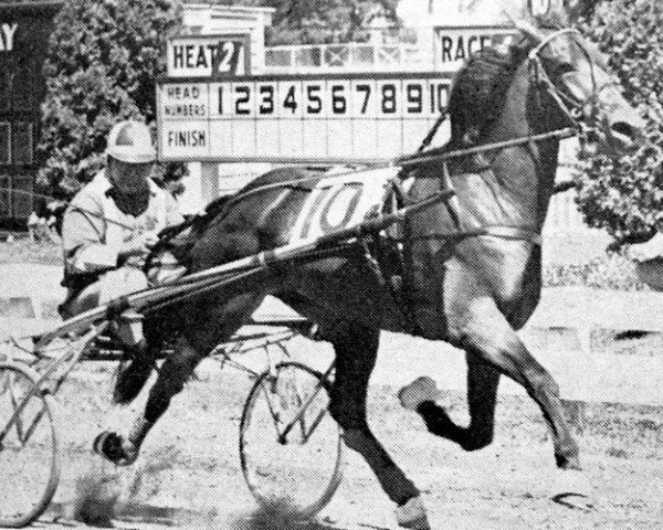 broodmare Happy Galie (US) (American Trotter, 1960, from Galophone 88754 (US))