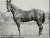 stallion Peter the Great 28955 (US) (American Trotter, 1895, from Pilot Medium US-1597)