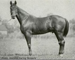 stallion Peter the Great 28955 (US) (American Trotter, 1895, from Pilot Medium US-1597)