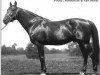 stallion Peter Volo 57574 (US) (American Trotter, 1911, from Peter the Great 28955 (US))