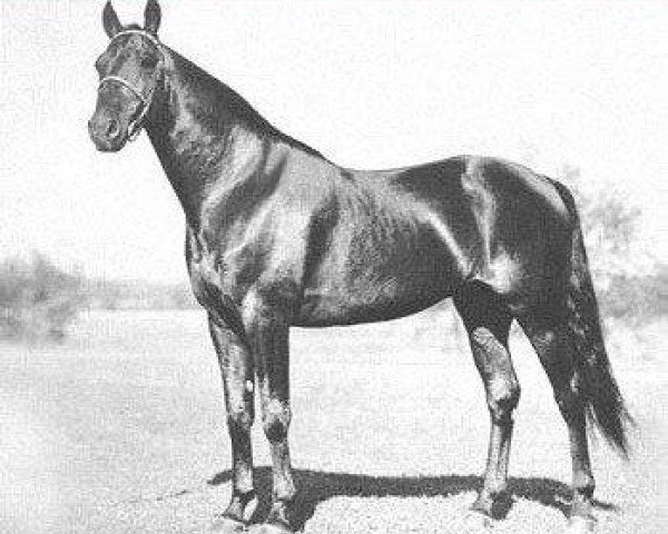 stallion Volomite 68580 (US) (American Trotter, 1926, from Peter Volo 57574 (US))