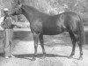 stallion Worthy Boy 74007 (US) (American Trotter, 1940, from Volomite 68580 (US))